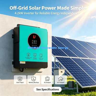 24 ভি ব্যাটারি হাইব্রিড সৌর ইনভার্টার 4200W গ্রিড বন্ধ গ্রিড বন্ধ হোম সৌর সিস্টেম