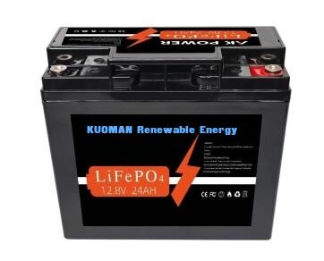 গভীর চক্র অ্যাপ্লিকেশনগুলির জন্য 12V 24Ah LiFePO4 ব্যাটারি 307.2Wh শক্তি এবং ABS কেস উপাদান সহ