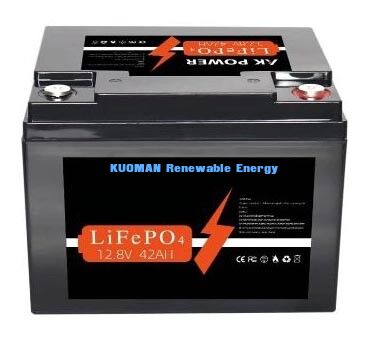 537.6Wh 12V 40Ah লিথিয়াম ব্যাটারি গভীর চক্র LiFePO4 শক্তি সঞ্চয় এবং গল্ফ কার্ট জন্য ব্যাটারি