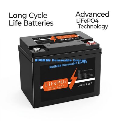 537.6Wh 12V 40Ah লিথিয়াম ব্যাটারি গভীর চক্র LiFePO4 শক্তি সঞ্চয় এবং গল্ফ কার্ট জন্য ব্যাটারি