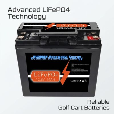গভীর চক্র অ্যাপ্লিকেশনগুলির জন্য 12V 24Ah LiFePO4 ব্যাটারি 307.2Wh শক্তি এবং ABS কেস উপাদান সহ