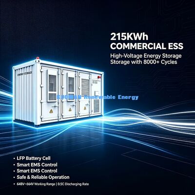 500kWh/1MWh/2MWh কন্টেইনার ESS∙ লং সাইকেল লিথিয়াম এনার্জি স্টোরেজ সৌর প্রকল্পের জন্য