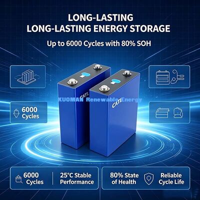 3.2V 100Ah CATL প্রিজম্যাটিক LiFePO4 ব্যাটারি সেল, ফ্রি কানেক্টিং বাসবার, 12V 24V 48V ব্যাটারি প্যাক তৈরির জন্য লিথিয়াম সেল